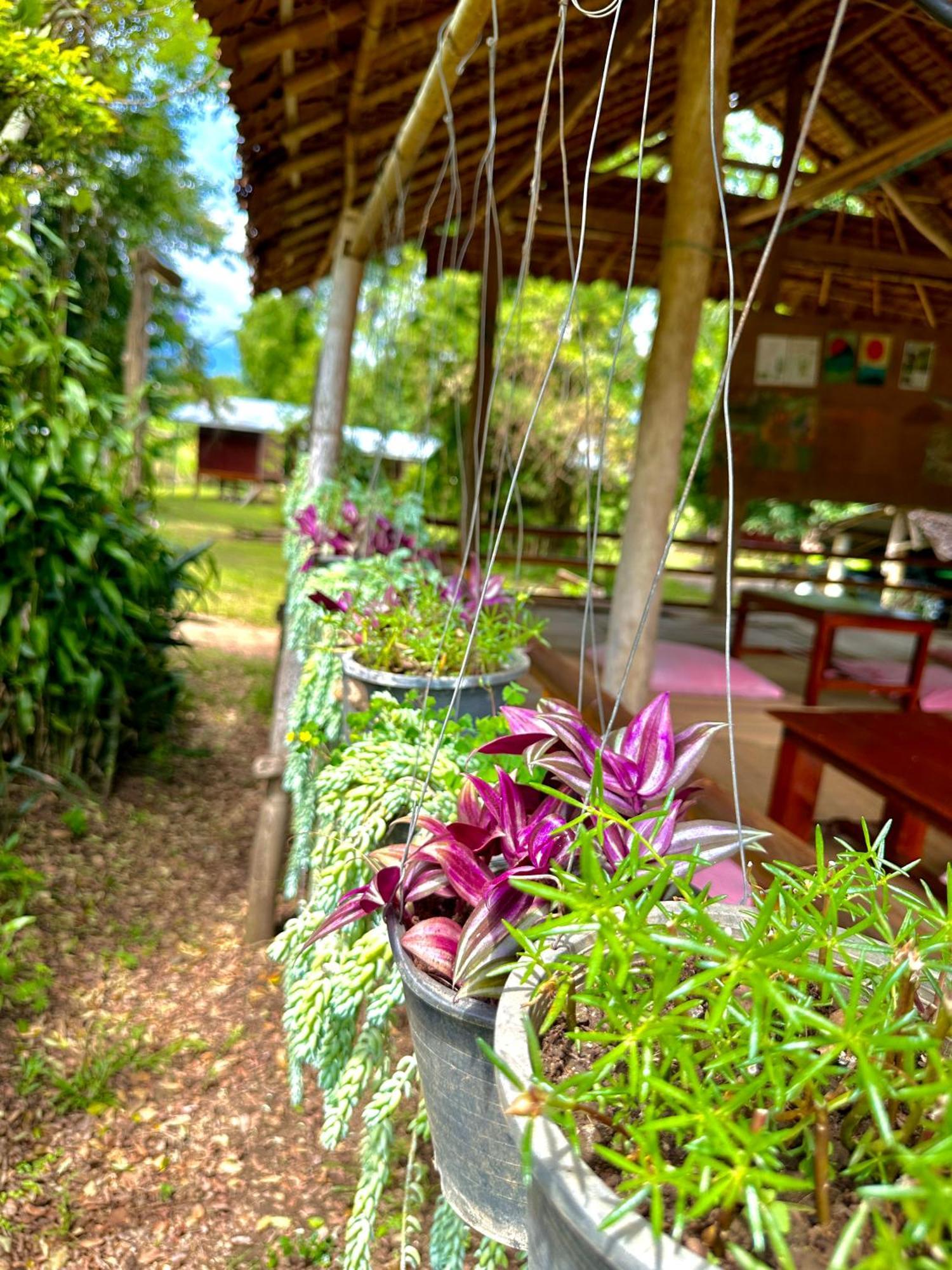 Twin Hut Hotel Pai Eksteriør billede